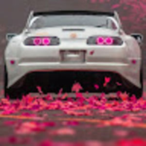 Meet your Posher, Riley